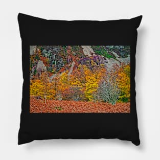 Autumn Colours Pillow