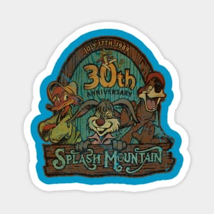 TEXTURE - SPLASH MOUNTAIN 30TH Magnet