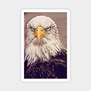 The bald eagle Magnet