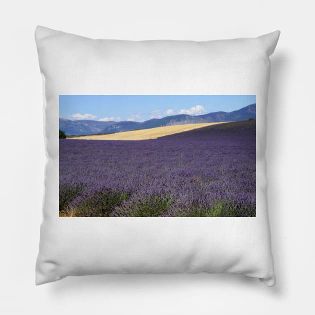 Lavander in Provence Pillow by annalisa56