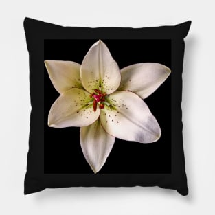 Eyeliner Lily on Black Pillow