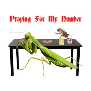 Praying For My Number T-Shirt