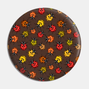 Colorful ladybugs on brown Pin