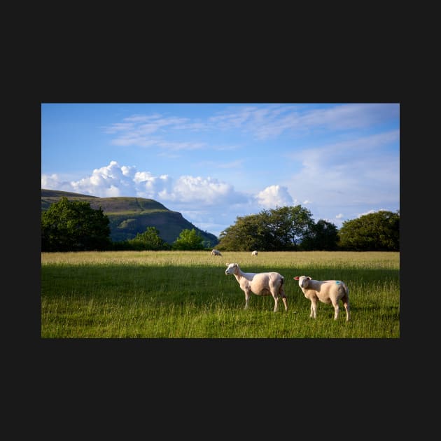 Evening sun, South Wales by RJDowns