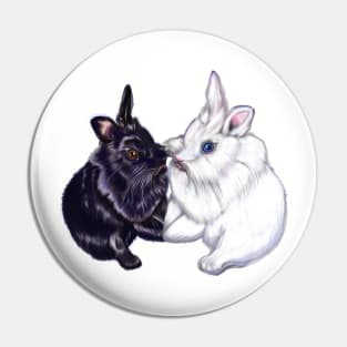 of bunny rabbits pair of cute furry ebony and snow colored coloured lionhead bunny rabbit Pin