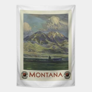 Welcome to Montana Tapestry