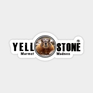 Marmot Madness, Yellowstone National Park Magnet