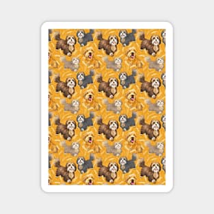 Tibetan terrier field of gold Magnet