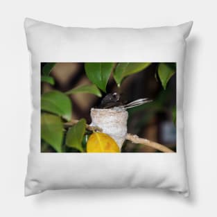 Nesting - Magpie Springs - Adelaide Hills Wine Region - Fleurieu Peninsula - South Australia Pillow