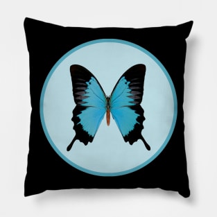 Royal Peacock Butterfly Pillow