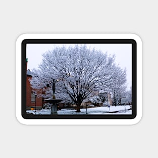 Snowy tree Magnet