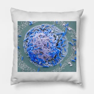 E. coli induced cell death, SEM (C021/7006) Pillow