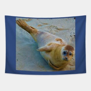 Seal of approval Tapestry