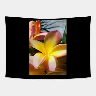 plumeria-flowers-frangipani-floral-awesome-bossom-shirtyshirto-91 Tapestry