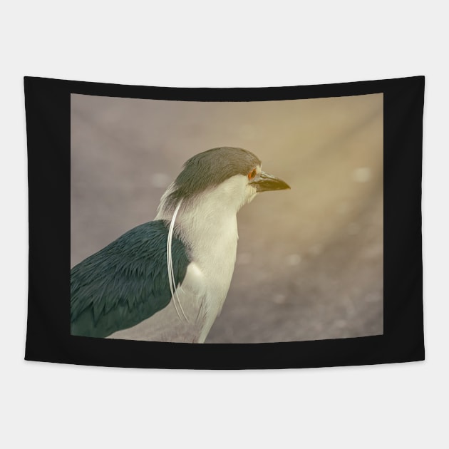 Black-Crowned Heron Tapestry by jvnimages