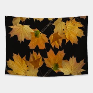 Autumn leaves Tapestry