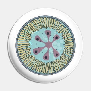 Diatom - Lindavia ocellata (artwork) Pin