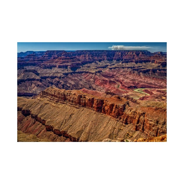 Navajo Point Grand Canyon by Gestalt Imagery