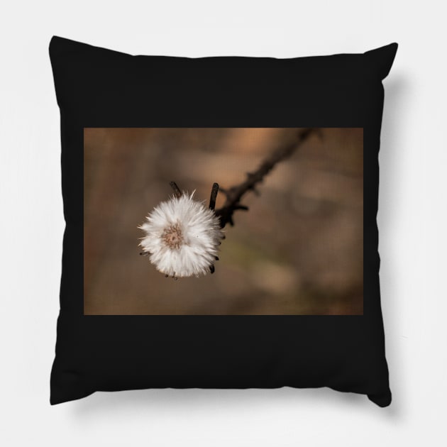 Dainty powder puff Pillow by DeborahMcGrath