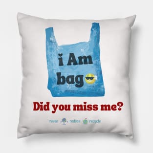 Recycle, Reuse, Rejoice: The Bag’s Back Pillow