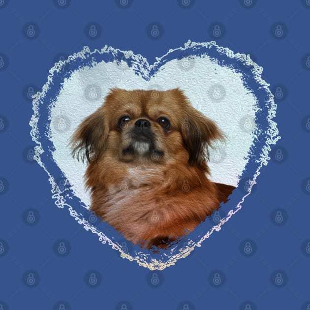 Cute Pekingese dog by Nartissima