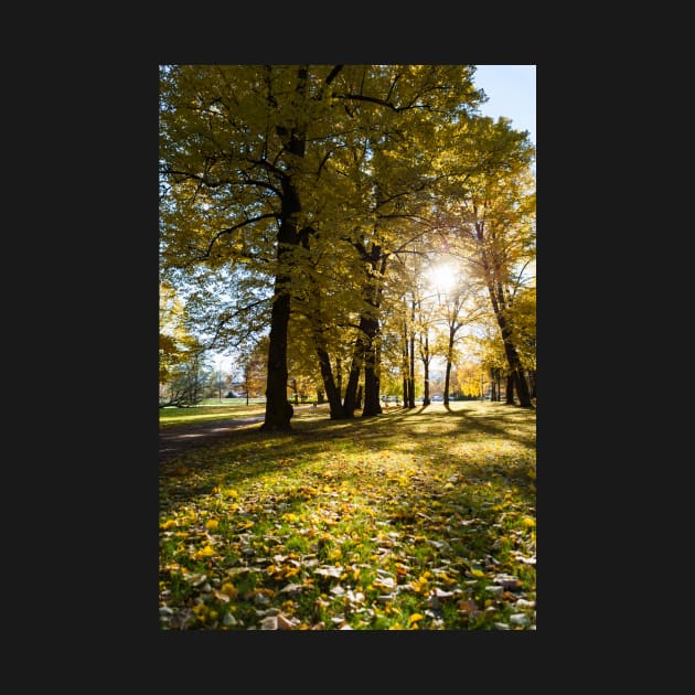 Autumn in Helsinki by ansaharju