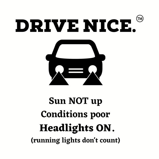 Drive Nice, use headlights by TraciJ