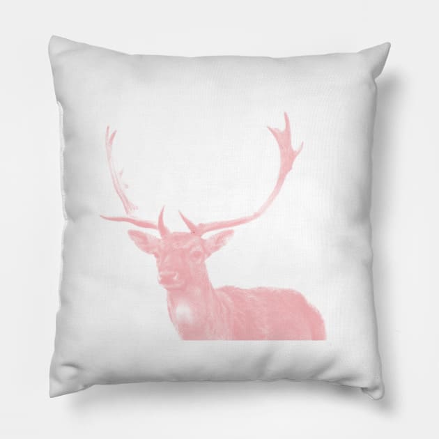 Hirsch 02 Pillow by froileinjuno