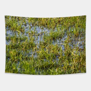 wet grass Tapestry