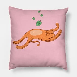 Catnip love Pillow