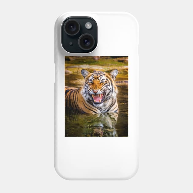 Bengal Tigress Phone Case by GrahamPrentice