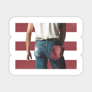 bruce springsteen Magnet