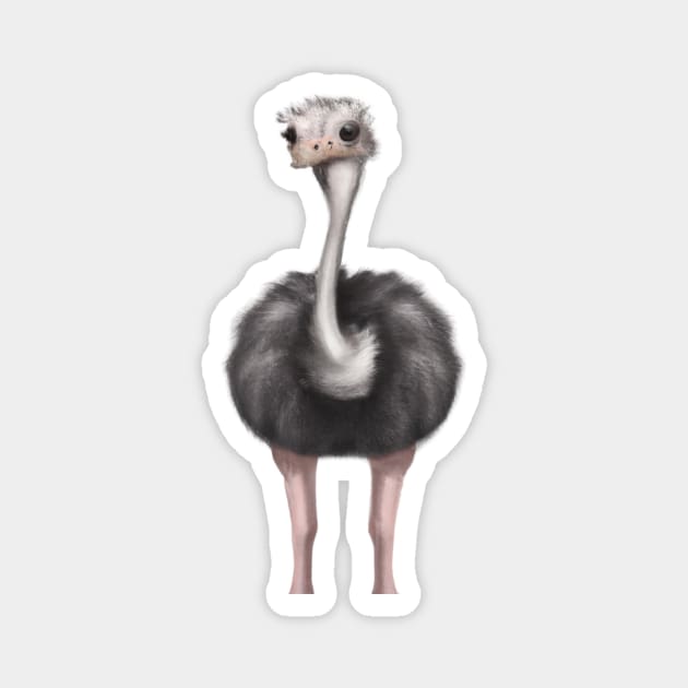 Cute Ostrich Drawing Magnet by Play Zoo