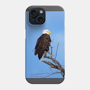 Bald Eagle Perched In a Tree In The Winter Phone Case