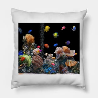 Tropical fish Pillow