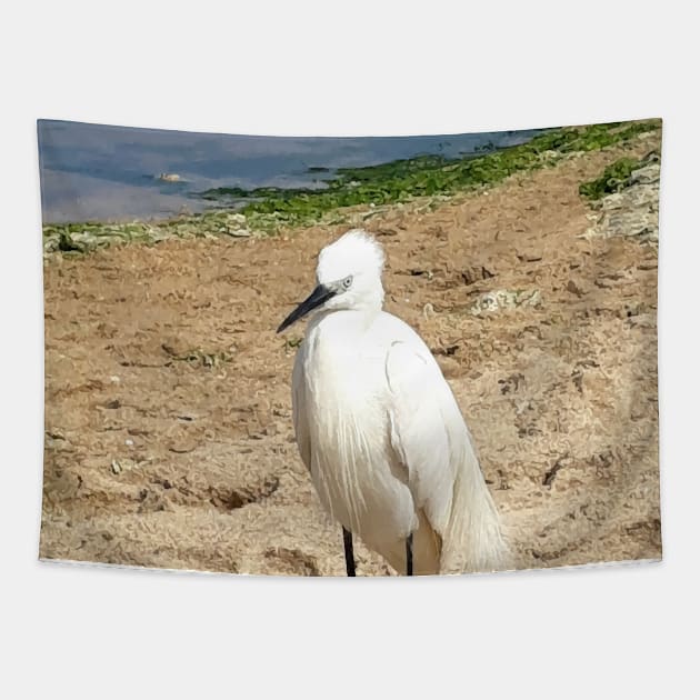 A Heron on the beach 1 Tapestry by PrintedDreams