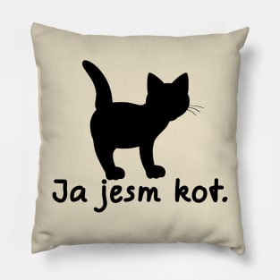 I'm A Cat (Interslavic, Masculine) Pillow