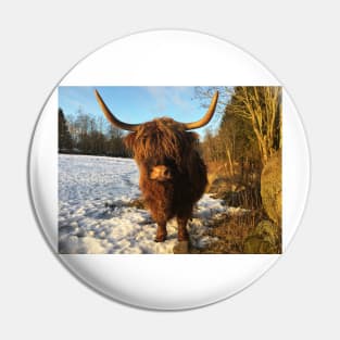 Scottish Highland Cattle Cow 2235 Pin