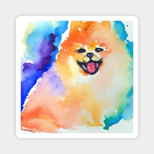 Pomeranian Watercolor Painting - Dog Lover Gifts Magnet