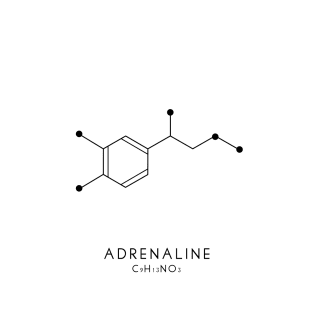 Adrenaline Molecular Structure - White T-Shirt