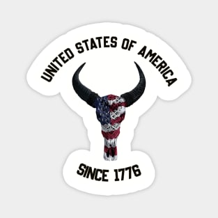 American skull Magnet