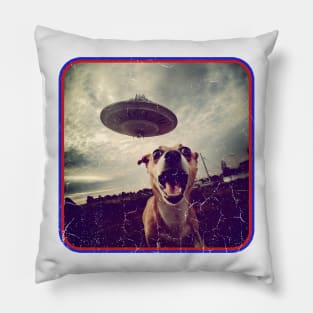 Run for the Hills! Stressed Dog Chased by UFO Pillow