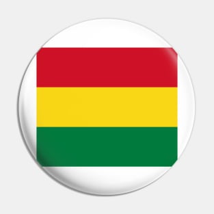 Bolivia Flag Pin