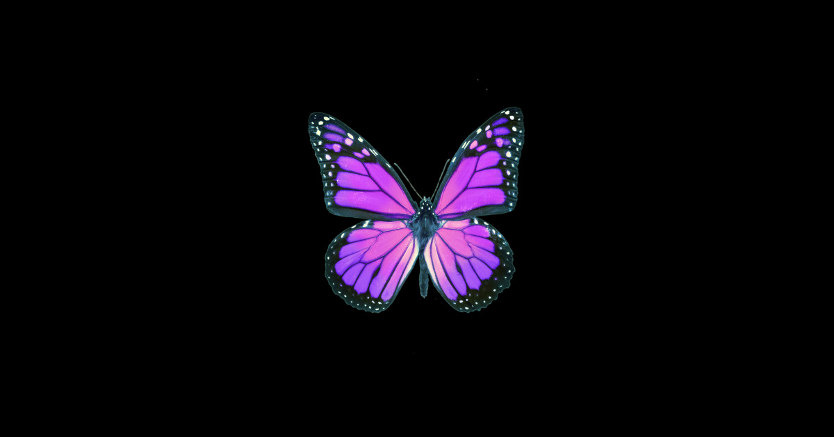 Ultraviolet Butterfly - Ultraviolet - Sticker | TeePublic