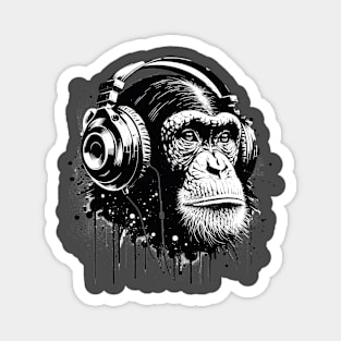 Rhythmic Soul: The Music-Loving Chimp Magnet