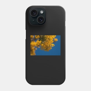 Wattle 1 Phone Case