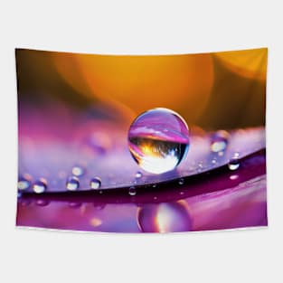 Water Drop Dewdrop Nature Serene Calm Tapestry