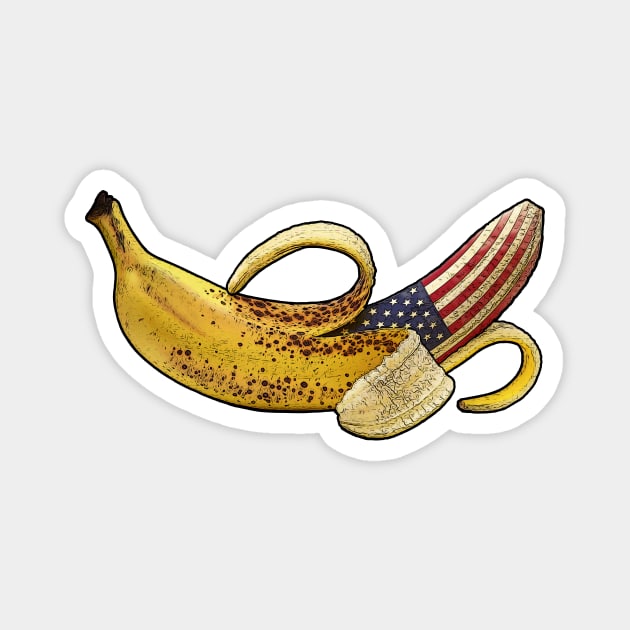 DC Riot-Capitol Hill-Banana republic Magnet by StabbedHeart