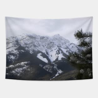 Snow topped mountains! Tapestry