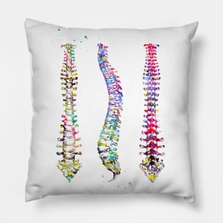 Human Spine Pillow